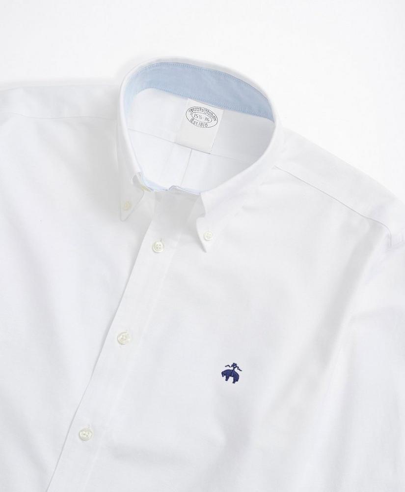 Stretch Non-Iron Oxford Button-Down Collar Sport Shirt Product Image