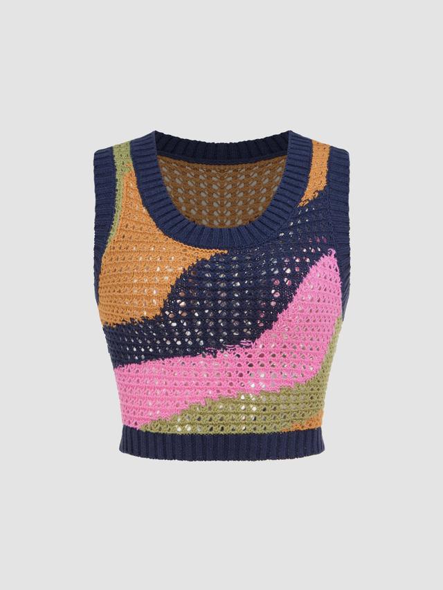 Colorblock Knitted Crop Tank Top  Product Image