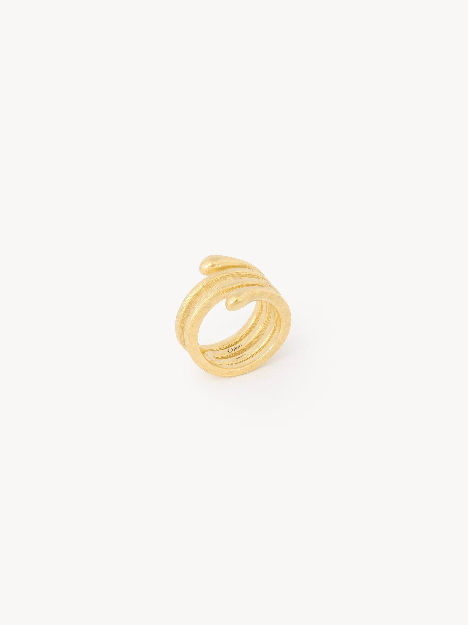 The Chloé Eclectic ring Product Image