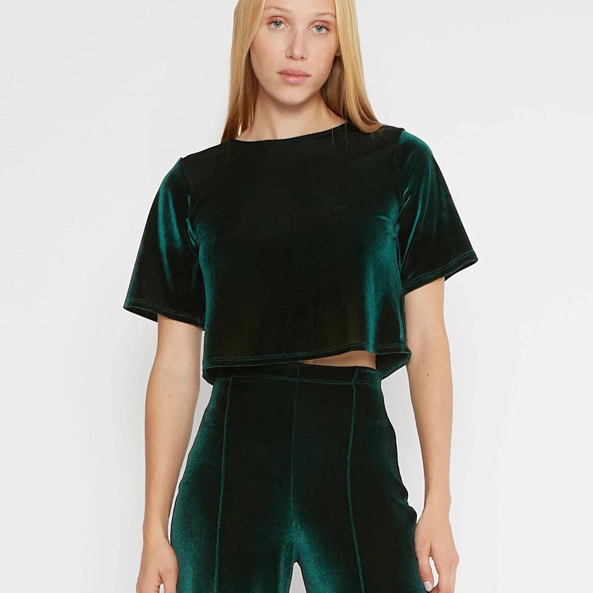 Ripley Rader Emerald Velvet Short Sleeve Top Extended Product Image