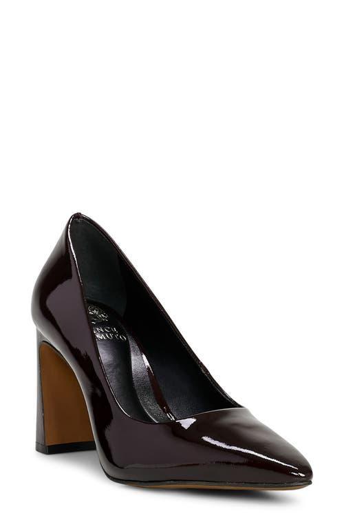 Vince Camuto Dalmanara Pointed Toe Pump Product Image