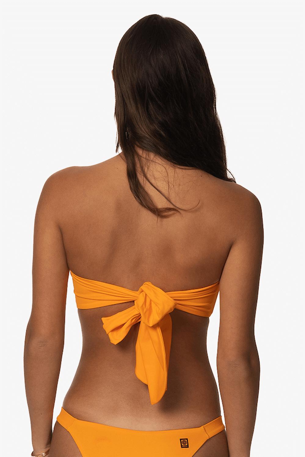 Lacanau Bikini Top - Harmony Female Product Image