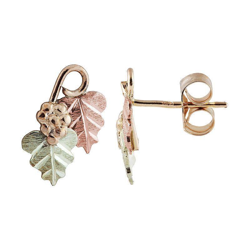 Black Hills Gold Tri-Tone Leaves & Grapes Stud Earrings, Womens Product Image