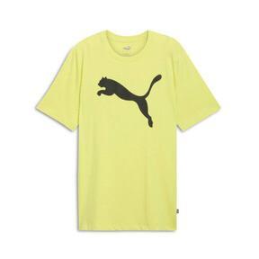 PUMA Essentials Big Cat Men's T-Shirt Product Image