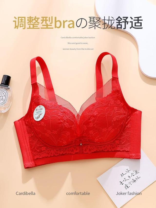 Lace Push Up Bra Product Image