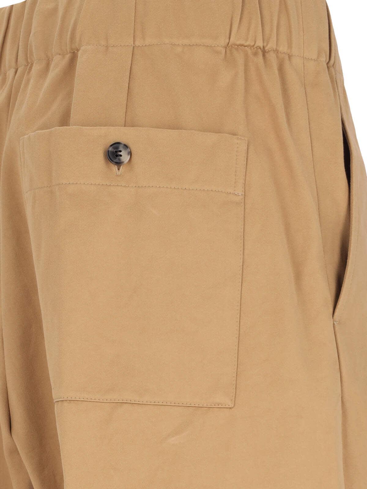 DRIES VAN NOTEN Trousers In Brown Product Image