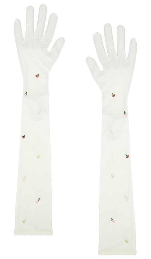 LANGE HANDSCHUHE LARA Product Image