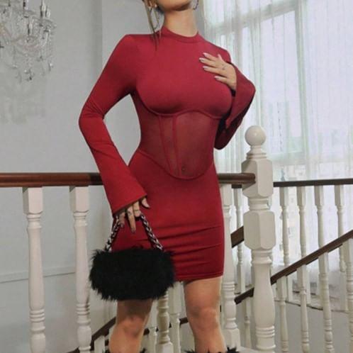 Long Sleeve Round Neck Plain See-Through Mesh Panel Bodycon Mini Dress Product Image