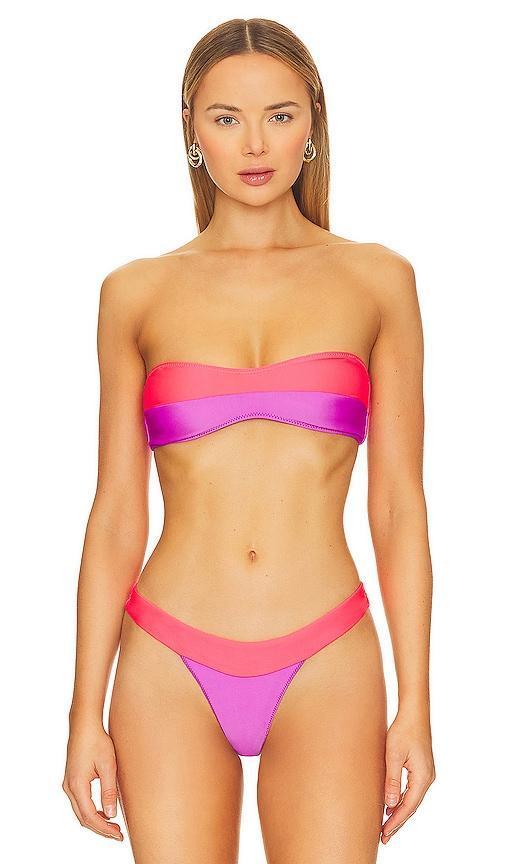 Lovers and Friends Tropic Daze Top in Purple & Psycho Red Product Image