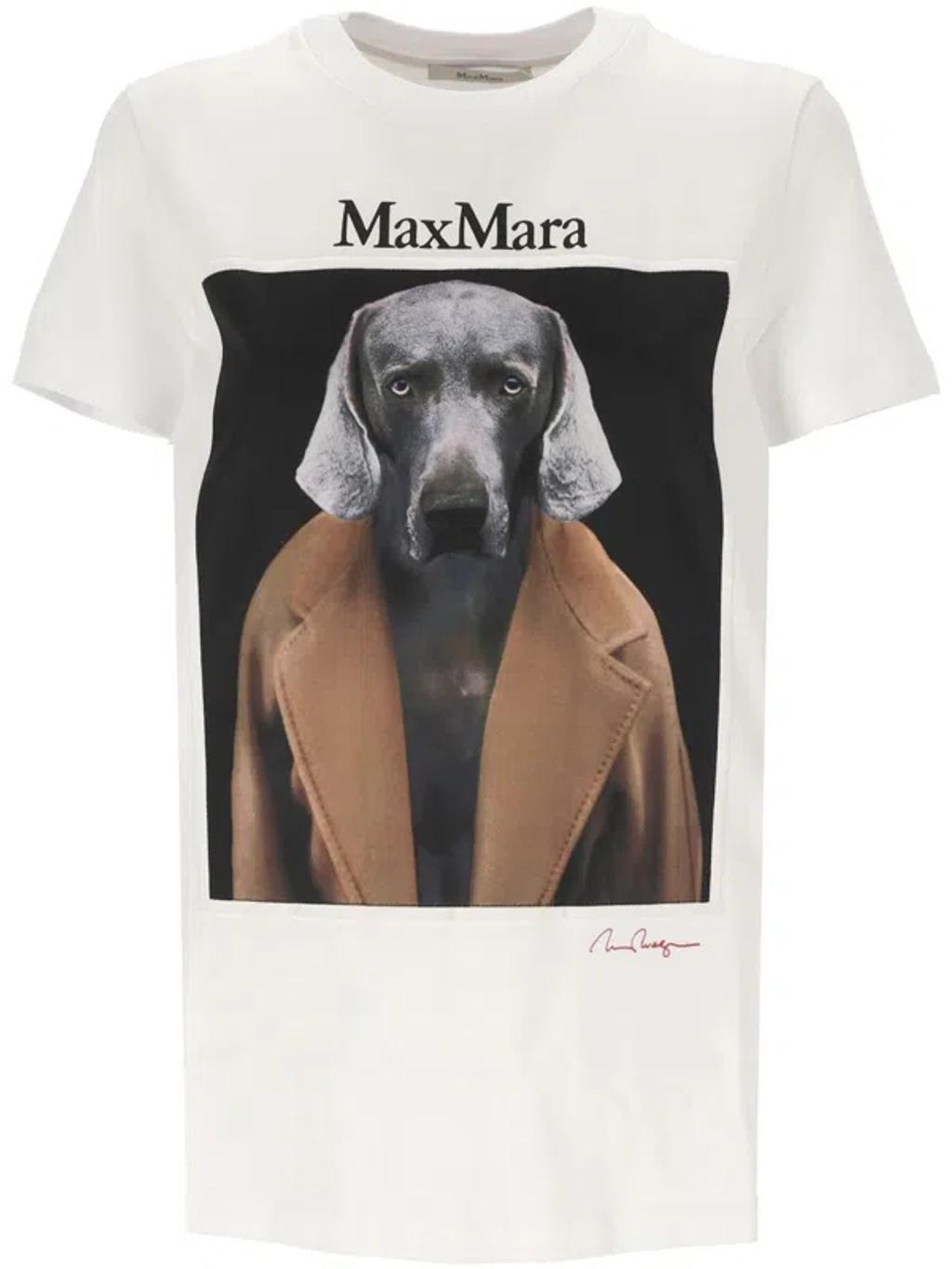 MAX MARA T-shirt With Wegman Print In White Product Image