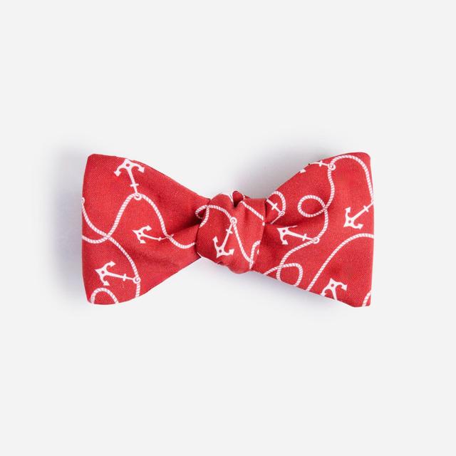 Silk bow tie in anchor print Product Image