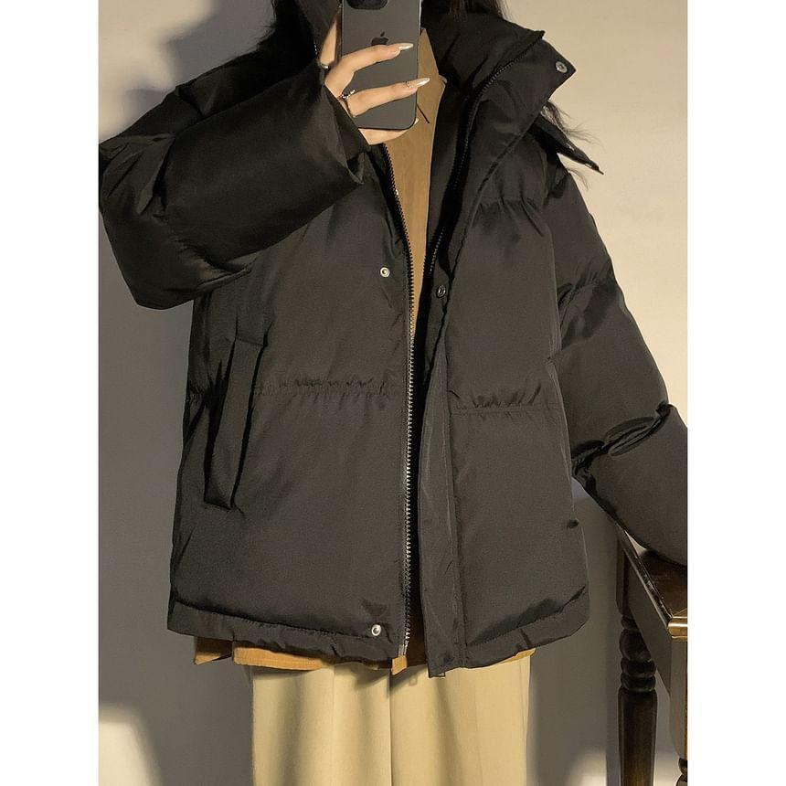 Stand Collar Plain Hood Zip Puffer Jacket Product Image