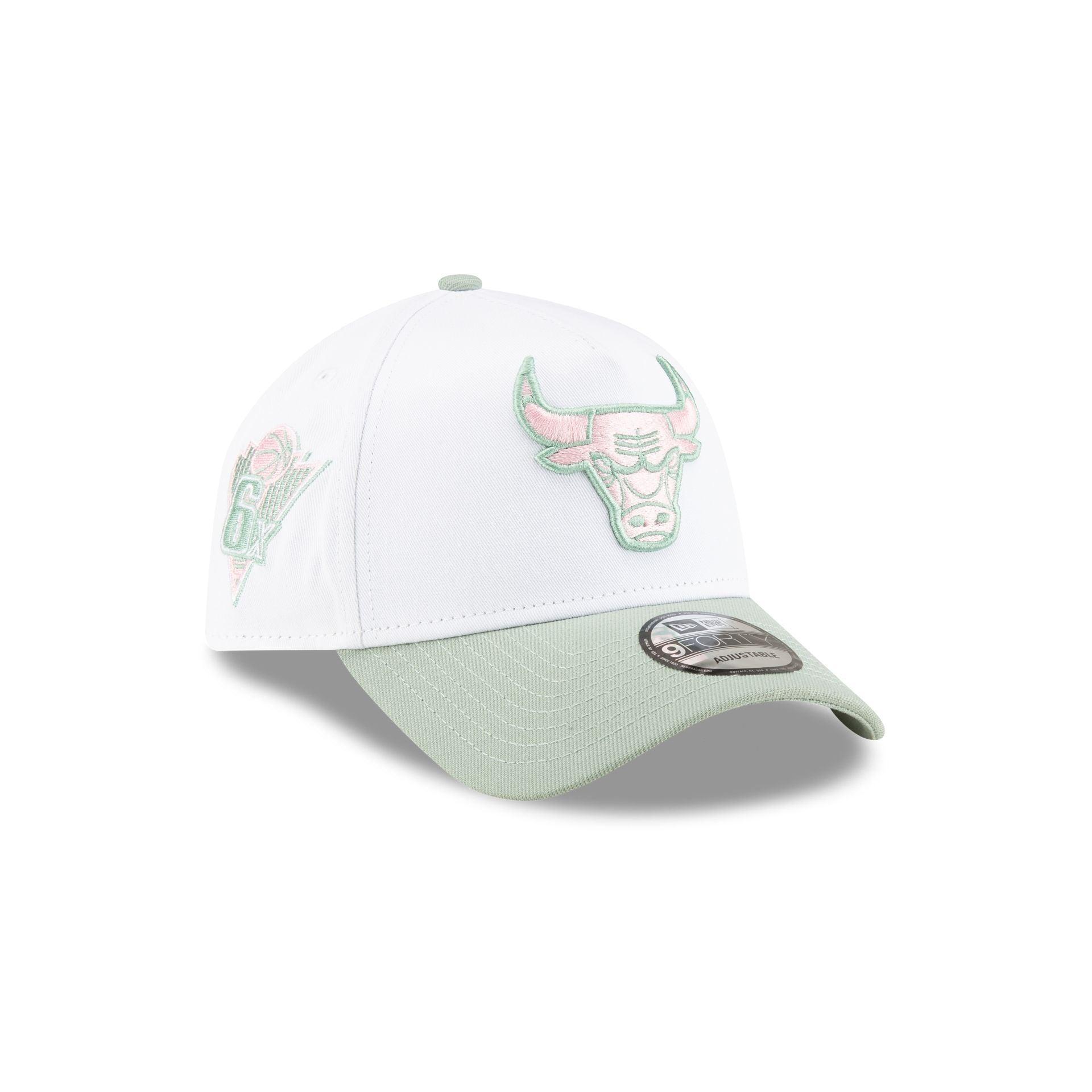 Chicago Bulls Spring Colorway 9FORTY A-Frame Snapback Hat Male Product Image