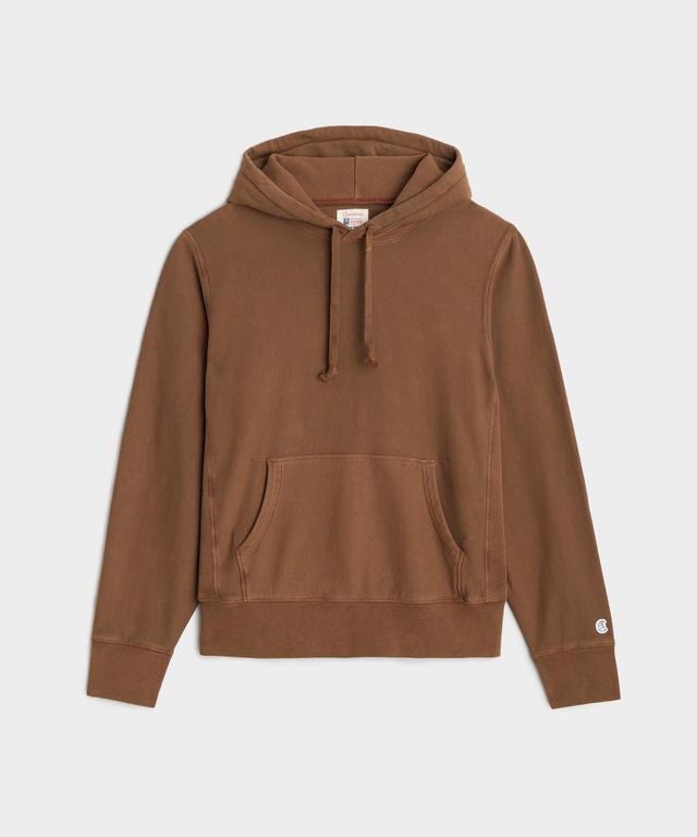 Champion Midweight Popover Hoodie Sweatshirt in Glazed Pecan Product Image