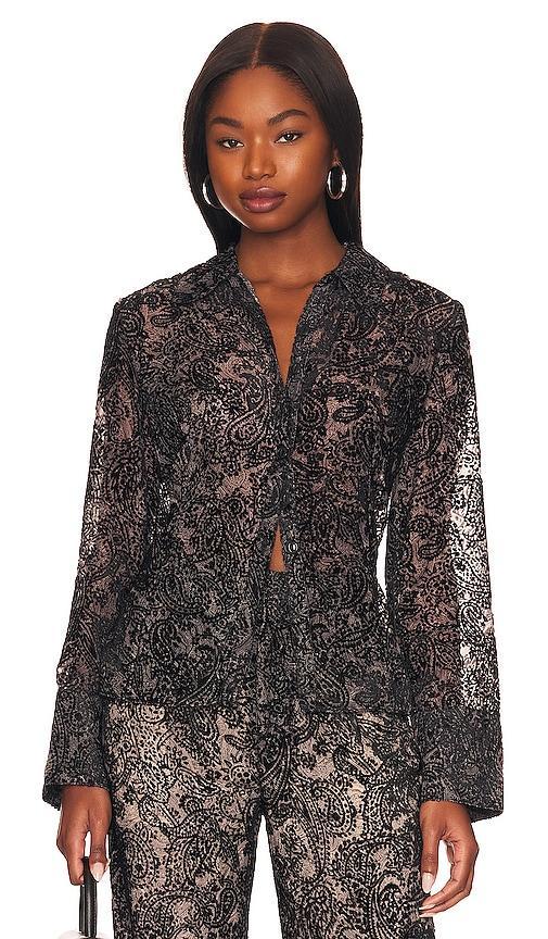 Leo Velvet Burnout Blouse Product Image