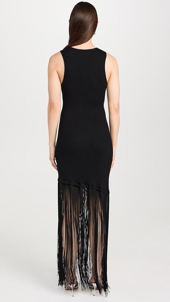 Le Superbe Fringe Hem Tank Dress | Shopbop Product Image