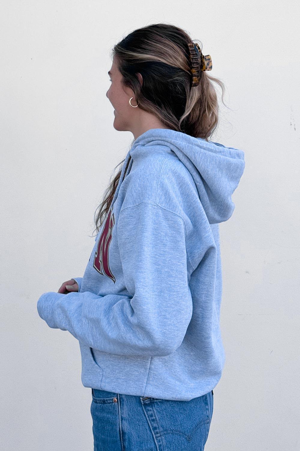 Raine Hoodie Product Image