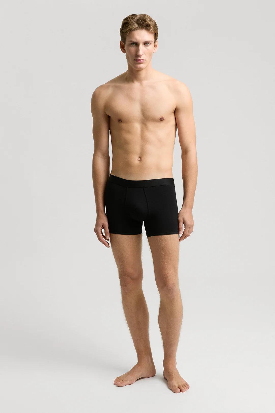 The Boxer Brief Product Image