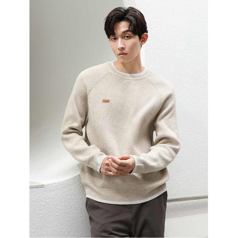 Crew Neck Contrast Trim Ribbed Sweater Product Image