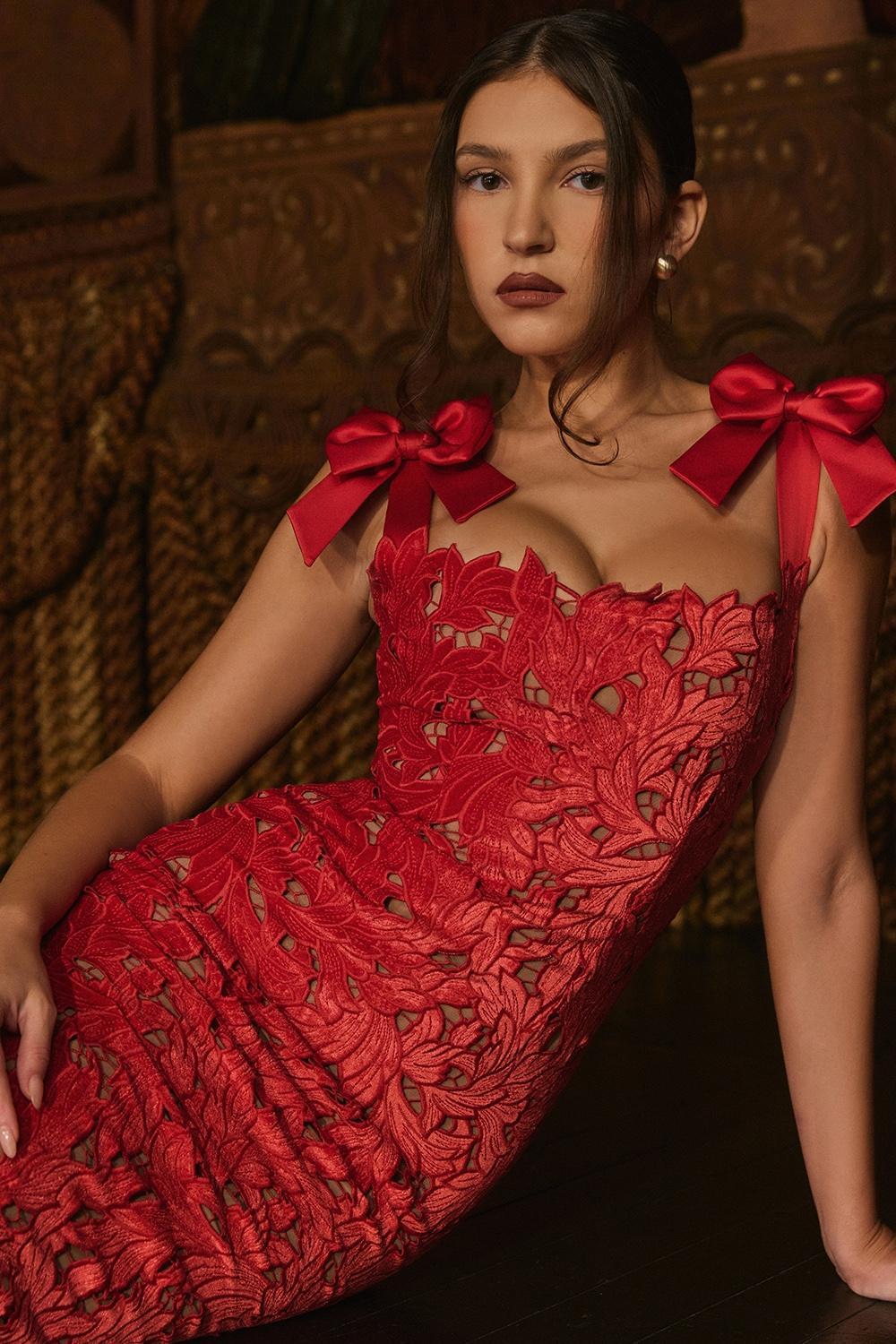 Tiff Holly Red Velvet Lace Maxi Dress Product Image