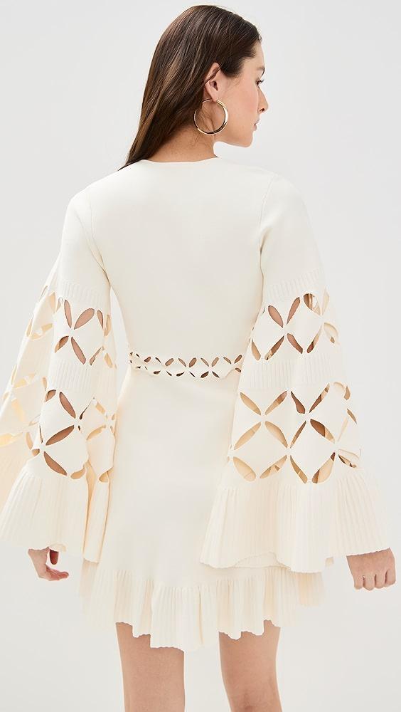 ALEXIS Linden Mini Dress | Shopbop Product Image