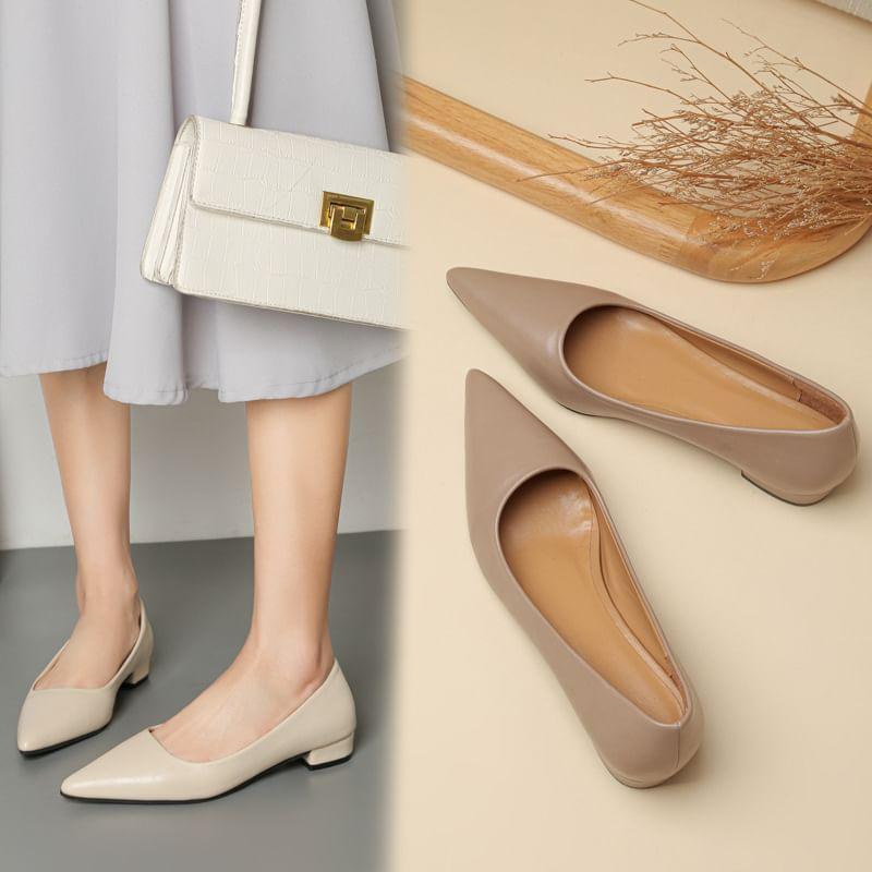 Low Heel Pointed Plain Pumps Product Image