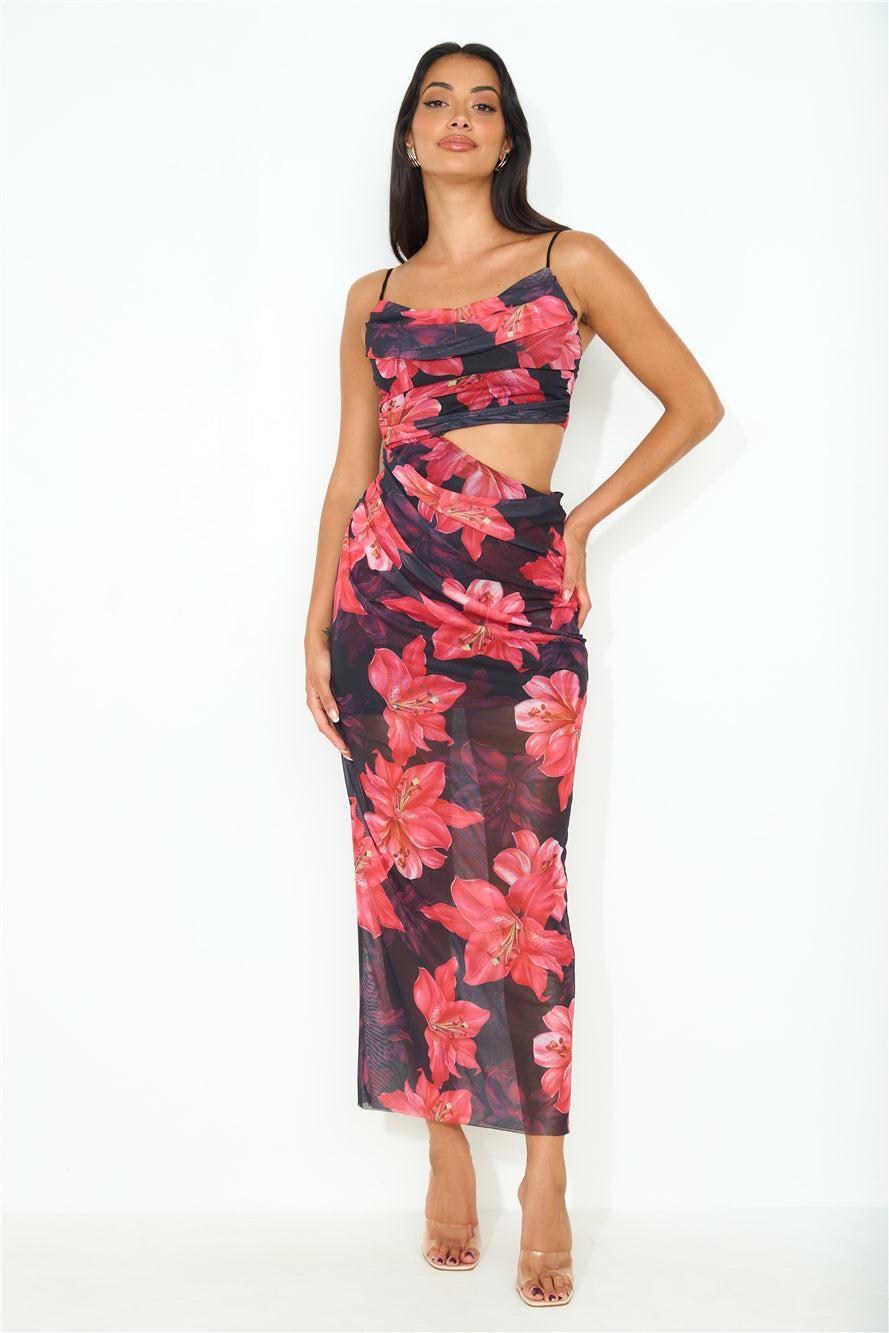 Wild Lily Mesh Maxi Dress Black Product Image