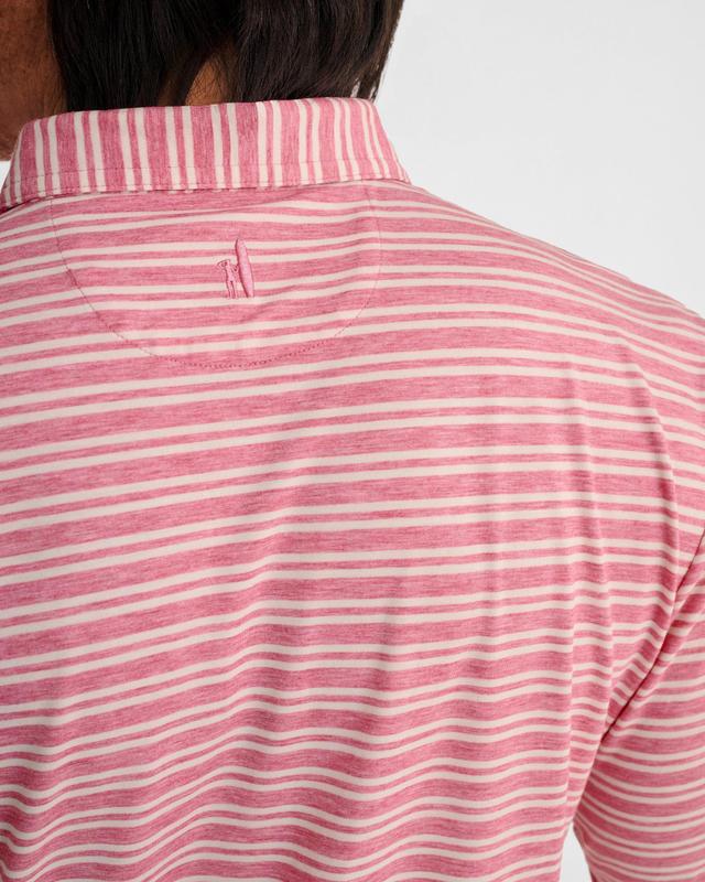 Brannen Striped Long Sleeve Polo Male Product Image