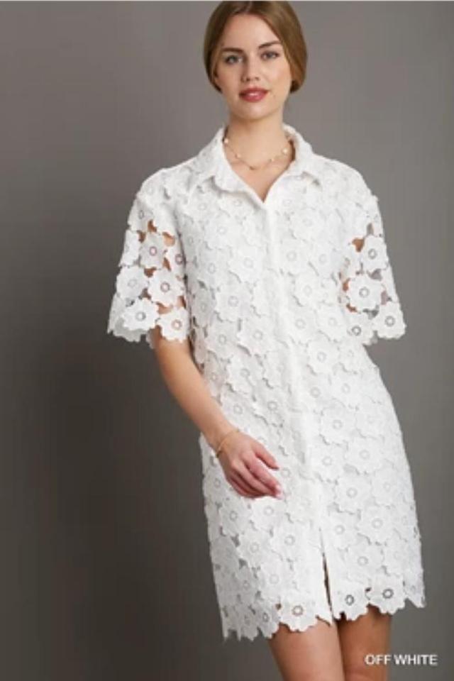 Allover Lace Dress Product Image