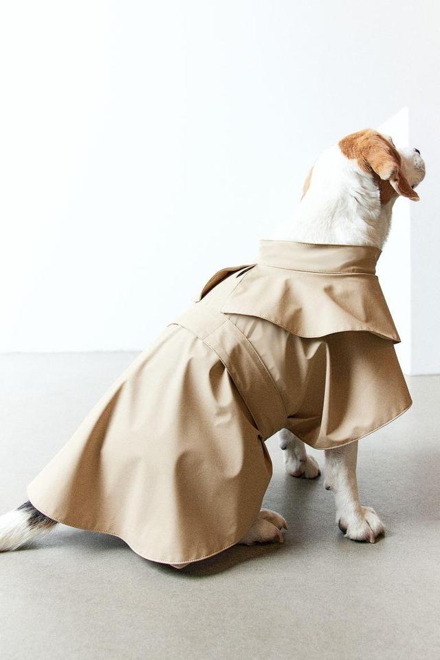 Dog Trench Coat Product Image