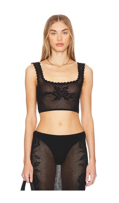 Toshi Crop Top Product Image