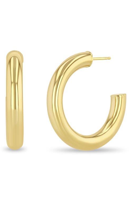 Zo Chicco Medium Tube Hoop Earrings Product Image