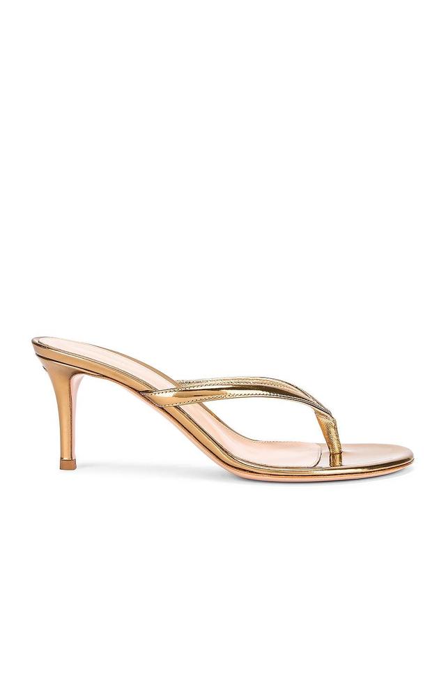 Gianvito Rossi Thong Sandals in Mekong - Metallic Gold. Size 34 (also in 34.5). Product Image