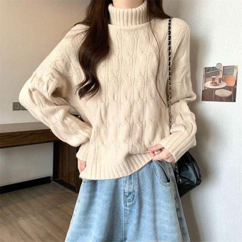 Turtleneck Plain Cable Knit Sweater Product Image