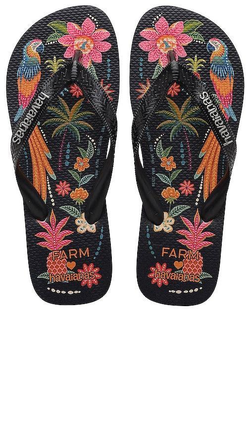 Farm Rio Black Parrots Sandal Product Image