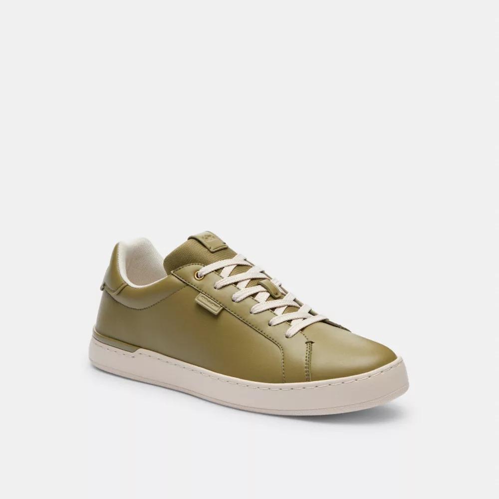 Lowline Low Top Sneaker Product Image