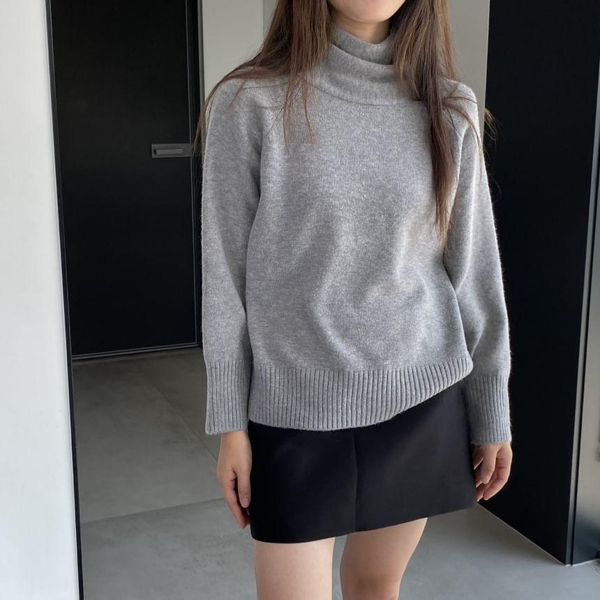 Turtleneck Plain Sweater Product Image