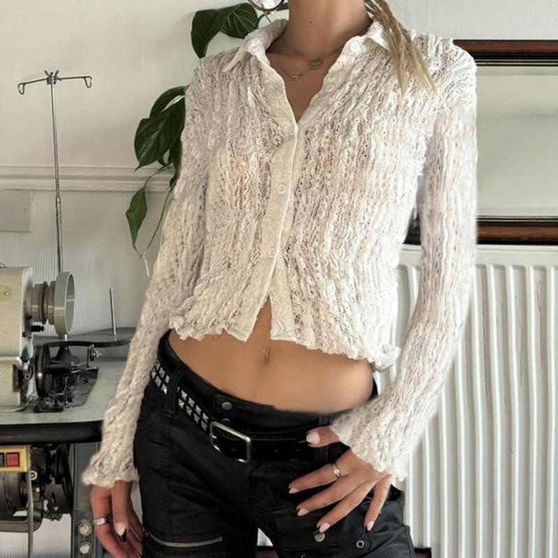 Long-Sleeve Lace Crop Shirt Product Image