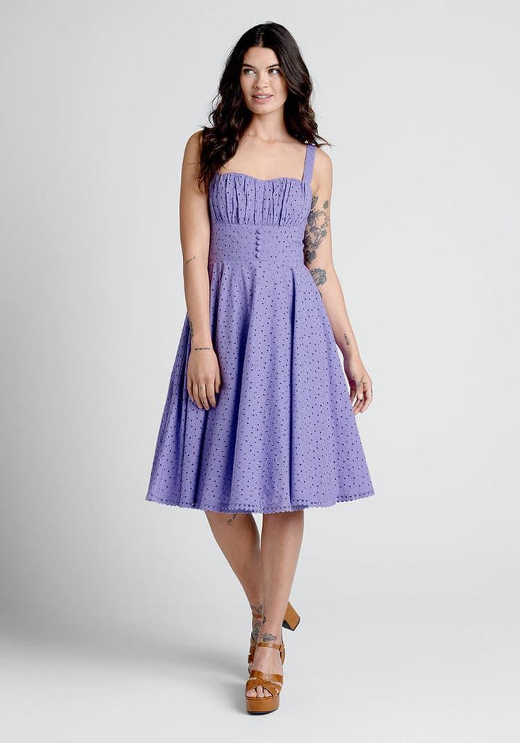 Anglaise For Days Fit and Flare Dress Product Image