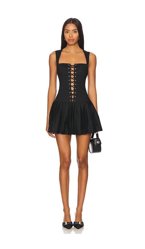 Gemma Mini Dress Product Image