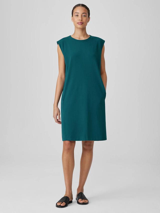 EILEEN FISHER Pima Cotton Stretch Jersey Round Neck Dressfemale Product Image