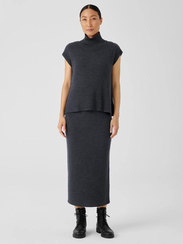 EILEEN FISHER Merino Slim Pencil Skirt in Regenerative Woolfemale Product Image