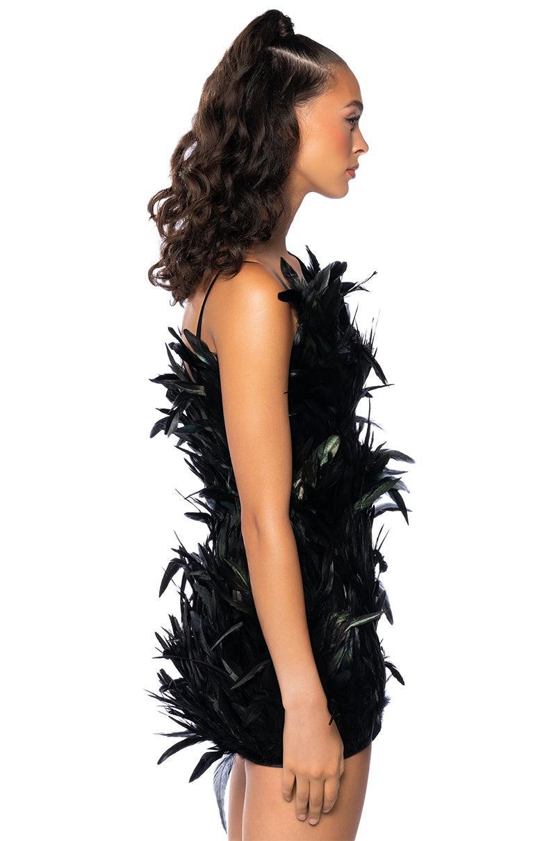 RAVEN FEATHER MINI DRESS Product Image