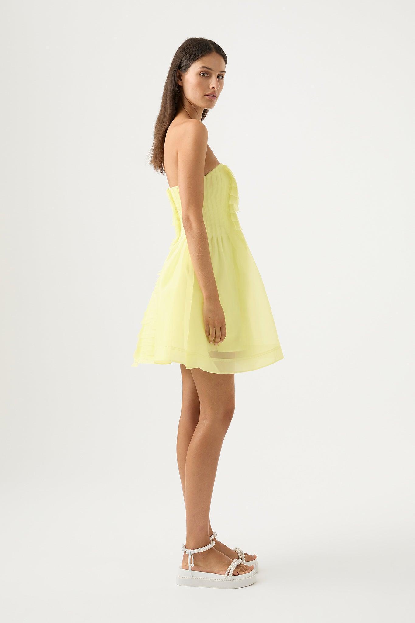 Astrid Strapless Mini Dress Product Image