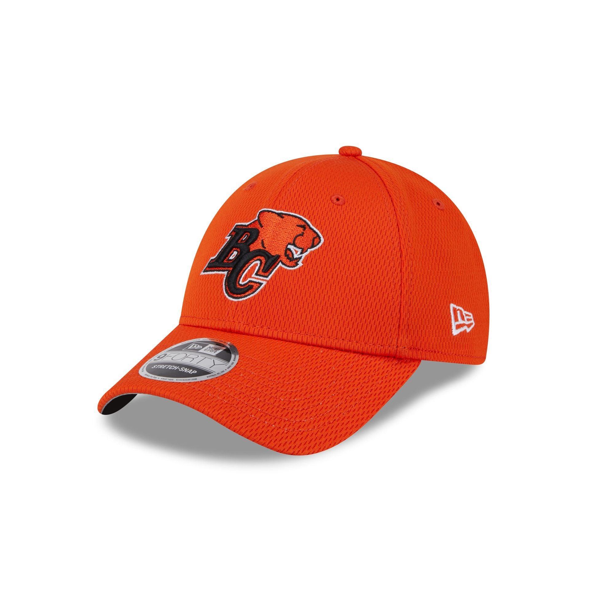 BC Lions Team 9FORTY Snapback Hat Male Product Image