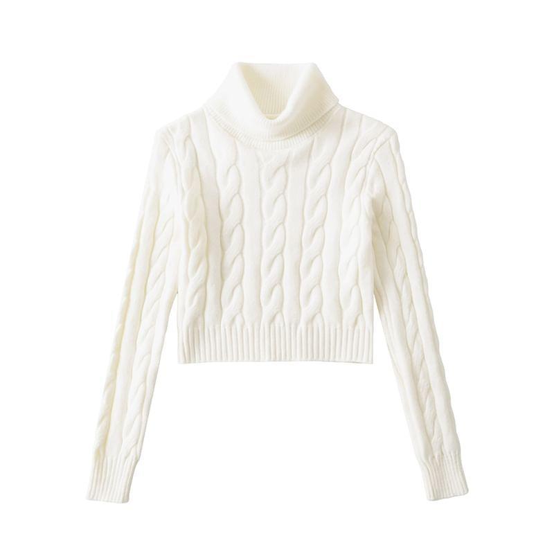 Turtleneck Plain Cable Knit Cropped Sweater product image