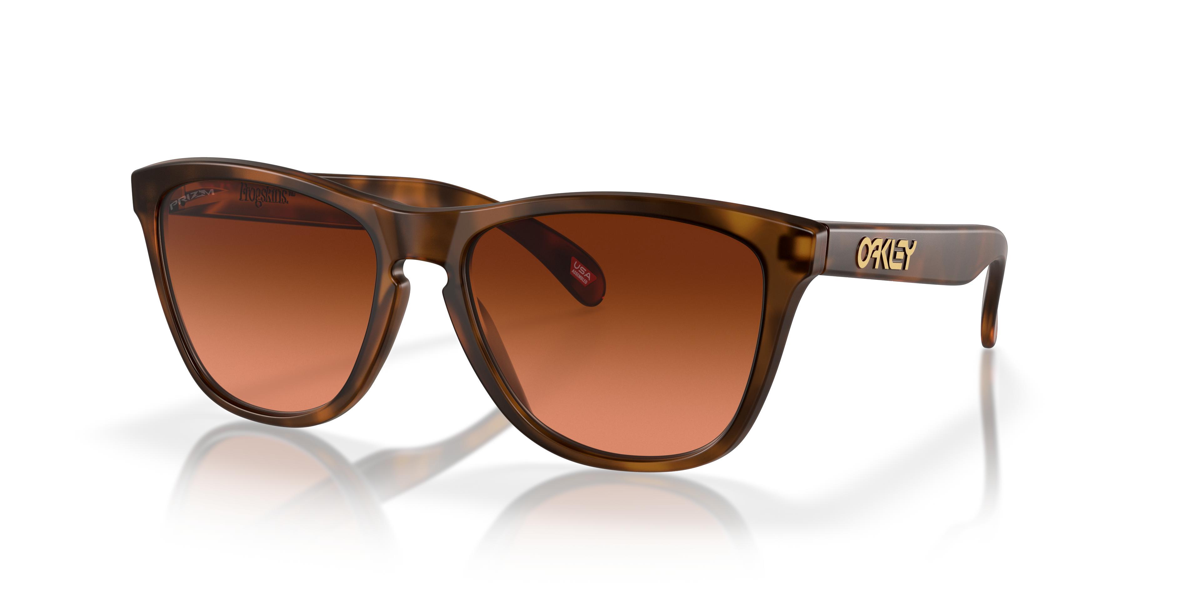 Oakley Frogskins 54mm Gradient Rectangular Sunglasses Product Image