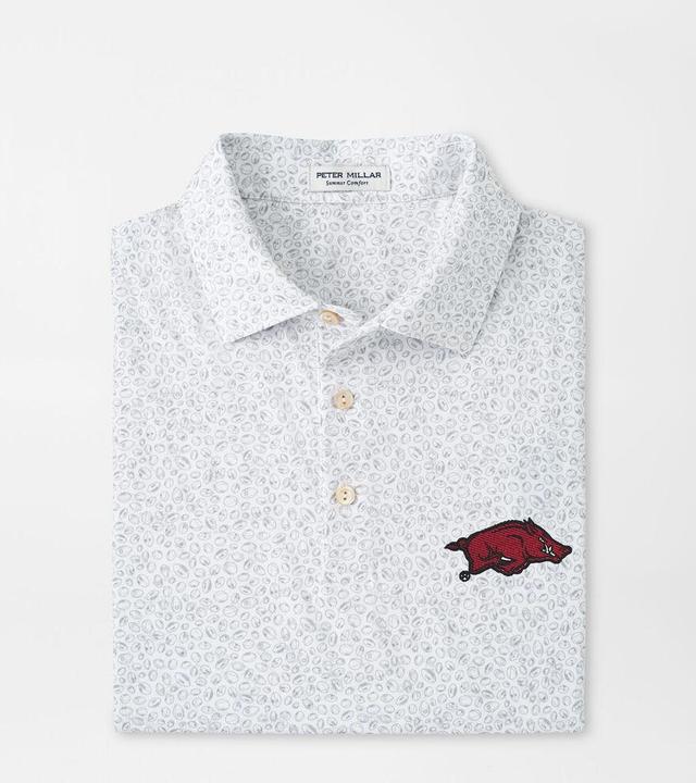 Peter Millar Mens Arkansas Blitz Performance Jersey Polo | Color: White / Gale Grey | Size: S Product Image