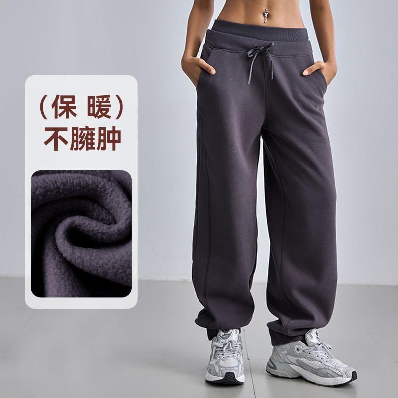 Drawstring Waist Plain Fleece-Lined Straight Leg Sweatpants Product Image