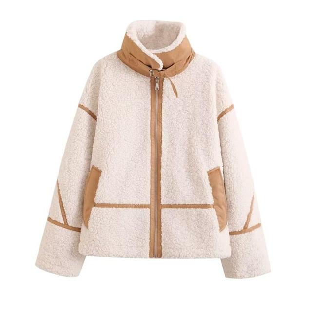 Stand Collar Fleece Color Block Zip Jacket Product Image